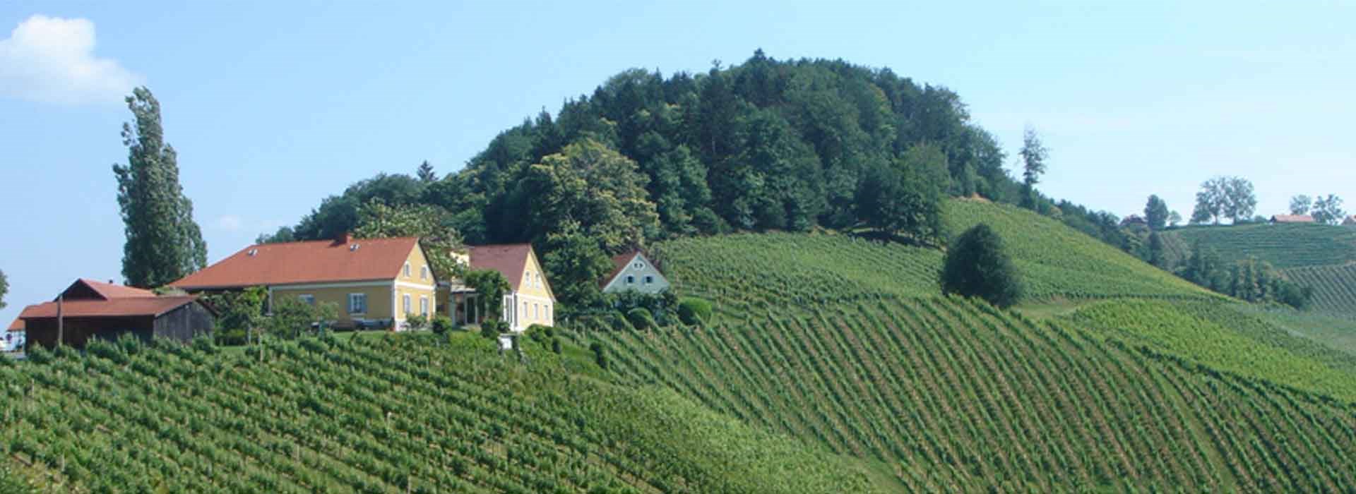 Kontakt & Anfahrt
