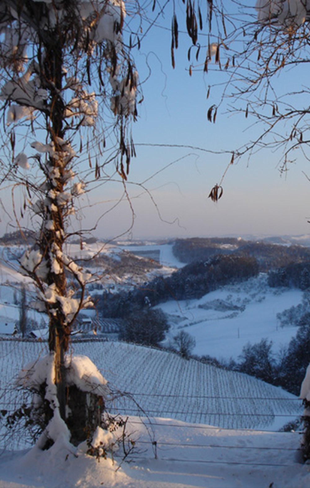 Weingut Bullmann – Impression 3 aus den Weingärten und dem Keller