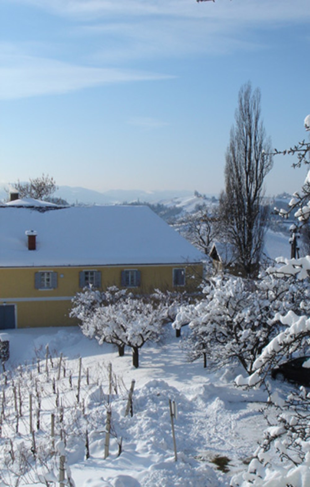 Weingut Bullmann – Impression 4 aus den Weingärten und dem Keller