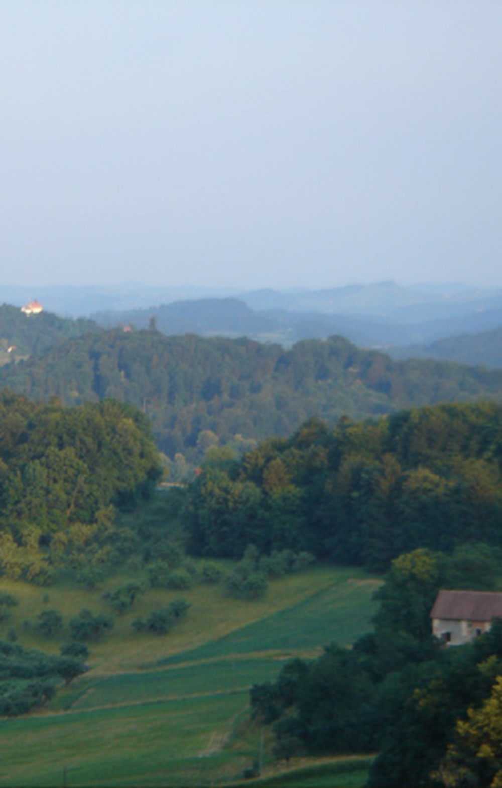 Weingut Bullmann – Impression 8 aus den Weingärten und dem Keller